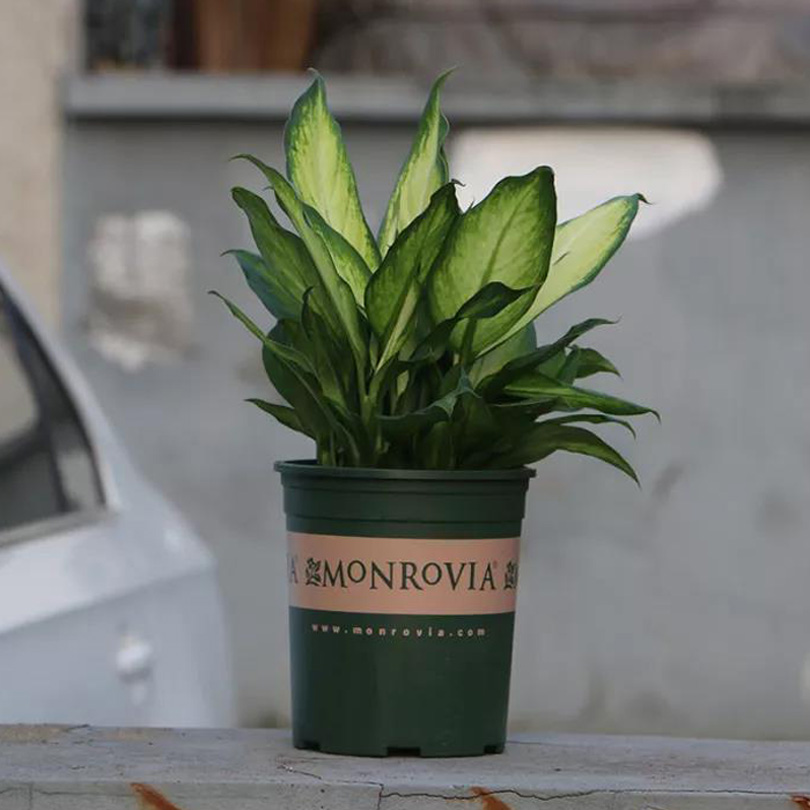 1573102930719448.jpg 12.jpg