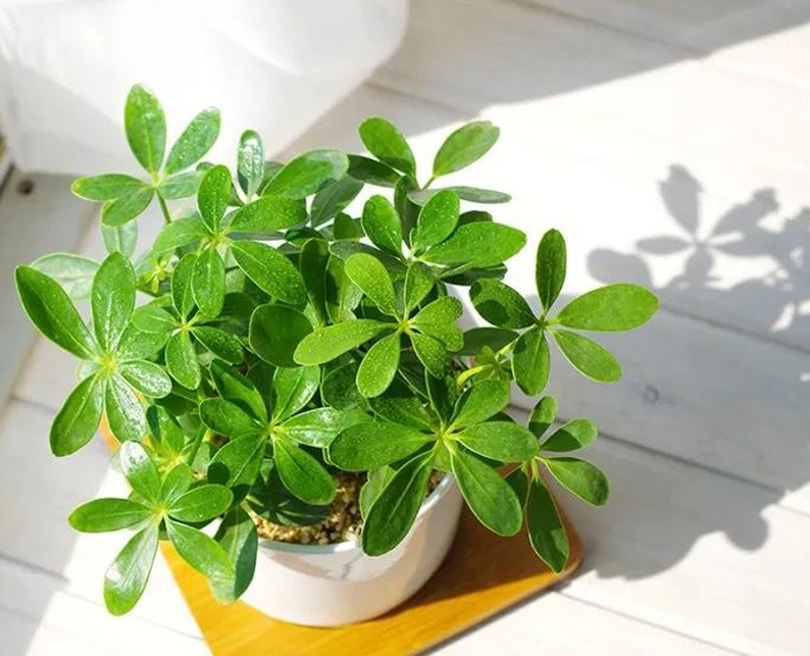 1573102961119284.jpg 13.jpg