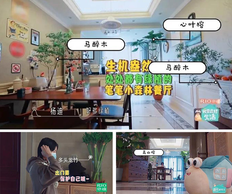 1590374794927765.jpg 微信圖片_20200525101520.jpg